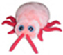 Bettwanze