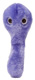 C.Diff
