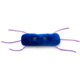Listeria