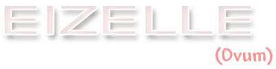 Eizelle