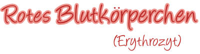 Rotes Blutkörperchen