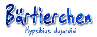 Bärtierchen